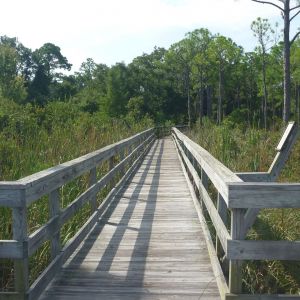 Mattie Kelly Park and Nature Walk