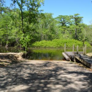 Dead River Landing and Seven Runs Creek