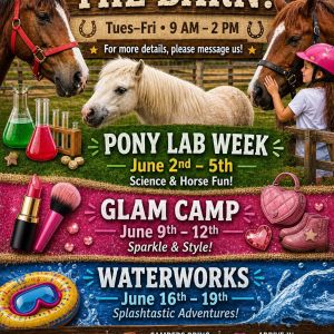The Southern Magnolia Kids Horse Camp