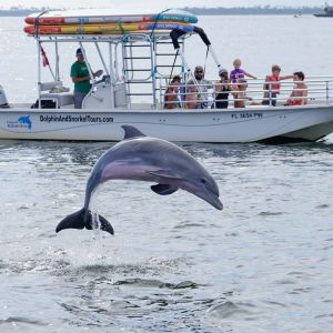 Coastal Wildlife Adventures