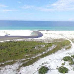 Camp Helen State Park