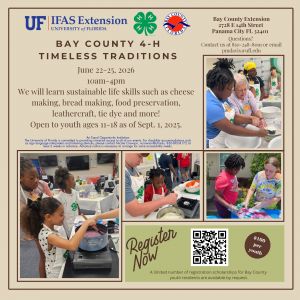 Bay County 4-H Timeless Traditions Camp