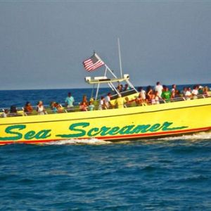Sea Screamer Snorkeling Trips
