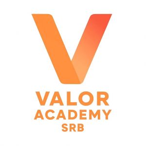 Valor Academy