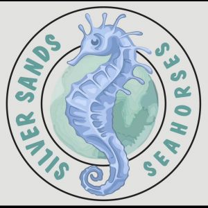 Silver Sands School