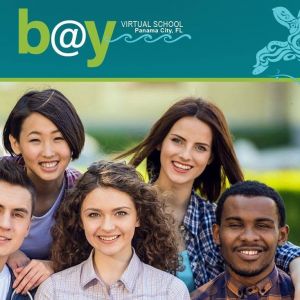 Bay Virtual School