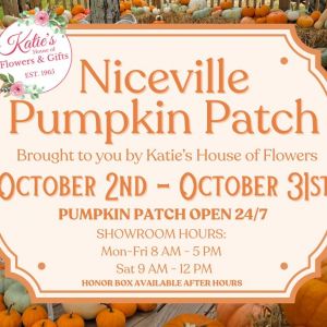 Katie's House of Flowers Niceville Pumpkin Patch