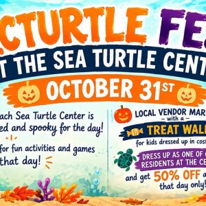 Navarre Beach Sea Turtle Conservation Center Octurtlefest