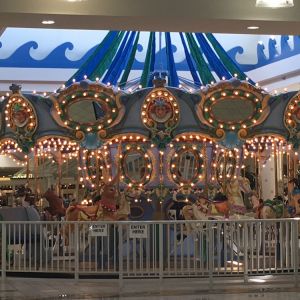 Santa Rosa Mall: Carousel Birthday Party