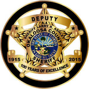 Okaloosa County Sheriff's Office: Teen Driver Challenge Class