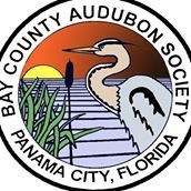 Bay County Audubon Society: Birding Programs