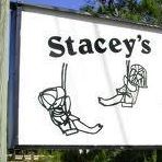 Stacey's Swingers Preschool and VPK
