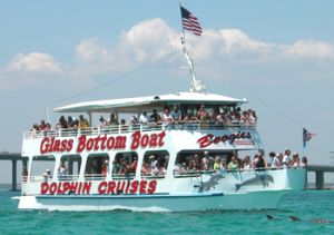 Boogies Watersports Glass Bottom Boat Tours and Dolphin Waverunner Tour