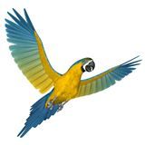Uncle Sandy's Macaw Bird Sanctuary