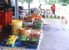 Walton County Farmers Market