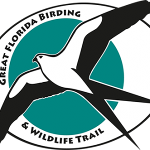 Great Florida Birding and Wildlife Trail