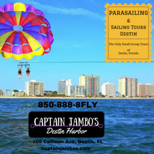 Sailing, Parasailing, Dolphin Tours, Snorkel Tours by Captain Jambo's Destin Harbor