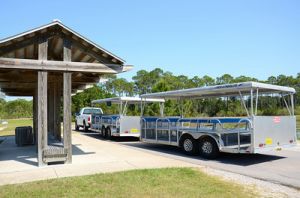 Free Park Entrance at Topsail and Grayton Beach State Parks