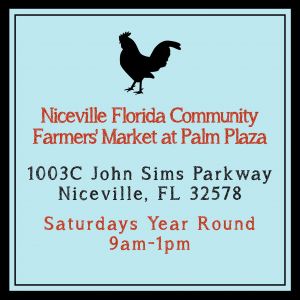 Niceville Farmers Market at Palm Plaza