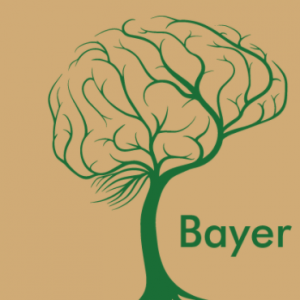 Bayer Neurobehavioral: Gifted/Learning Disorder/ADHD Testing