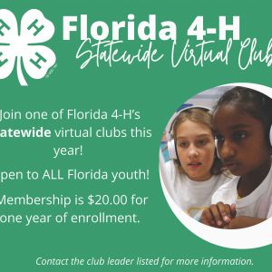 Florida 4-H Statewide Virtual Clubs