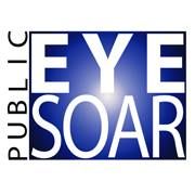 Public Eye Soar: A Projection Art Festival
