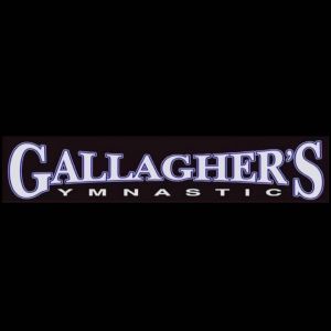 Gallagher's Gymnastics: Classes for Parent and Tot
