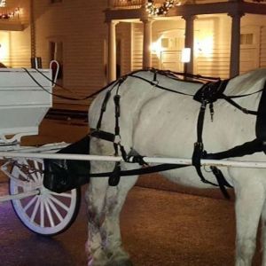 Defuniak Springs Christmas Reflections Carriage Rides