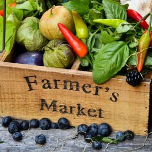 Freeport Farmers Market