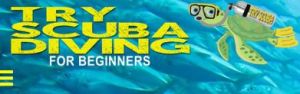 Diving PCB: Scuba Classes