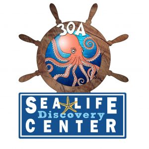 30A Sea Life Discovery Center: Summer Camps
