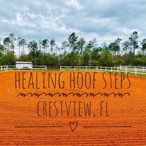 Healing Hoof Steps