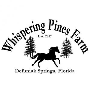Whispering Pines Farm Mobile Pony Party