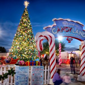 Christmas in Candyland