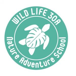 Wild Life 30A Nature Adventure School