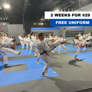 Forge Martial Arts 2-Week Starter Course