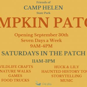 Camp Helen State Park Pumpkin Patch