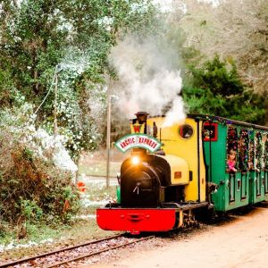 Wales West Light Railway: The Artic Express