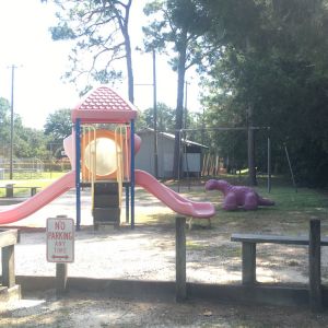 Chapman Park Playground
