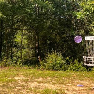 The View Disc Golf Course