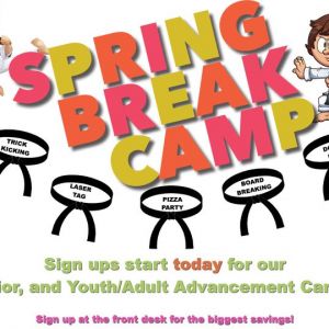 CD Williamson Karate: Spring Break Camp