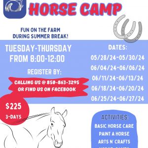 Equestrian Center, The: Summer Horse Camp
