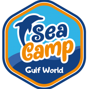 Gulf World Marine Park SEA Camp
