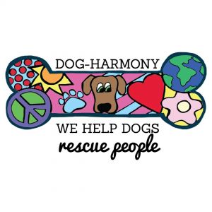 Dog Harmony Kids and Canines Camp