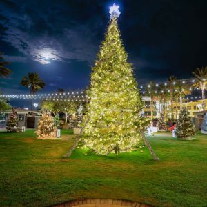 Grand Boulevard Festival of Trees