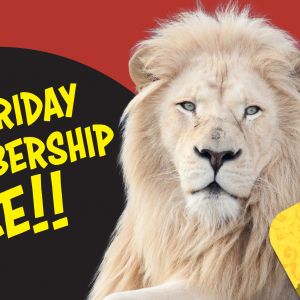 Zoo World Panama City Beach Black Friday Membership Sale