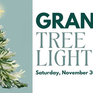 HarborWalk Village Grand Tree Lighting