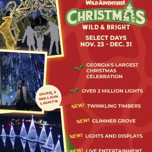 Wild Adventures Christmas Wild and Bright